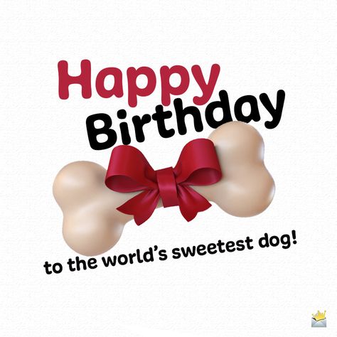 Dog Birthday Quotes, Dog Birthday Wishes, Pet Advertising, Happy Birthday Icons, Cute Birthday Wishes, Funny Happy Birthday Wishes, Happy Birthday Dog, Happy Birthday Art, Birthday Wishes For Friend