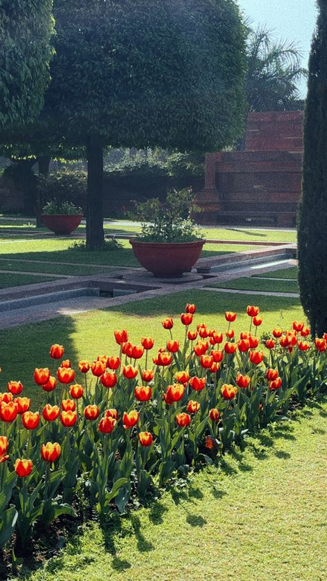 Tulips Season 2024 Blessings, Delhi Monuments, Delhi Photography, Lotus Temple, Travel Infographic, Red Fort, Bridal Makeover, Minds Eye, New Delhi India