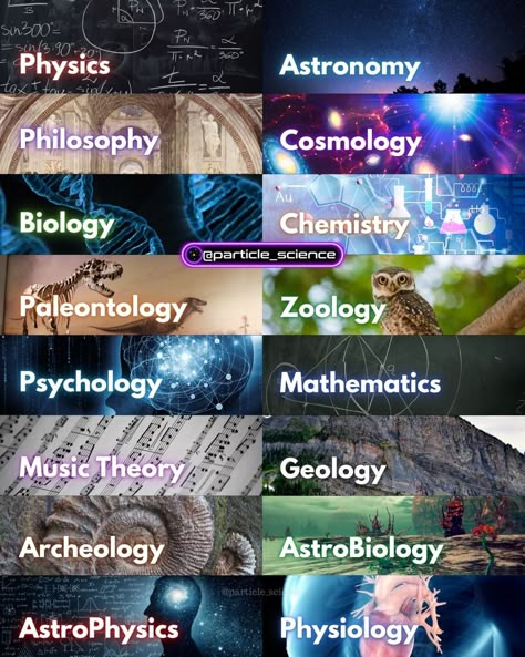 Theory Of Everything, Astronomy Facts, Interesting Science Facts, Astronomy Science, Cool Science Facts, Amazing Science Facts, Nebulas, Physics And Mathematics, Knowledge And Wisdom