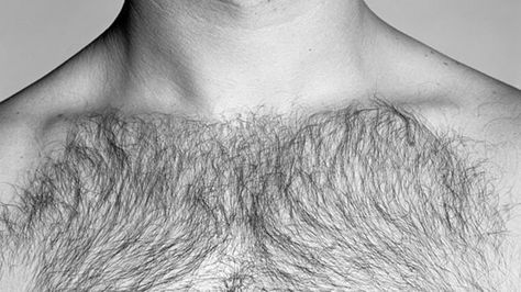 For those who choose to trim their body hair – whether it's for sports or aesthetics – there's a proper way to go about it. Men Chest Hair, Vellus Hair, Chest Hair, Hair Trim, Body Waxing, Body Hair Removal, Male Grooming, Hair Images, Hair Dresser