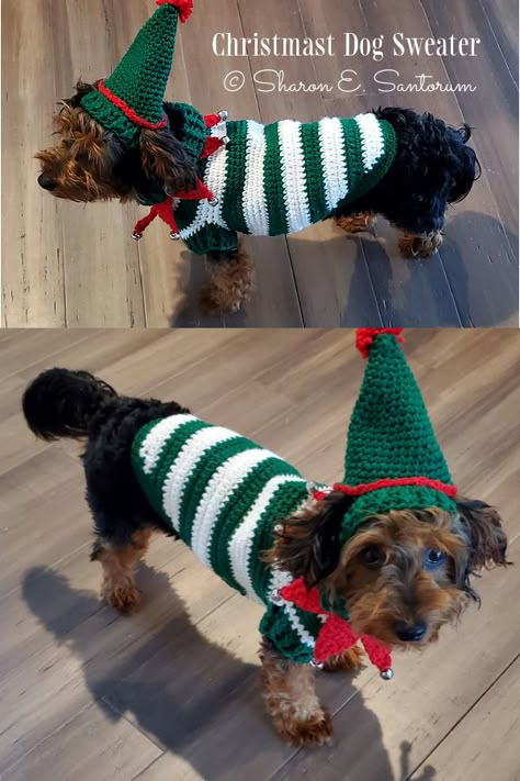 Elf Dog Costume Christmas Outfit Crochet Patterns Crochet Dog Sweater Free Pattern, Dog Sweater Crochet, Crochet For Pets, Illustrated Pattern, Sweater Free Pattern, Darning Needle, Crochet Dog Clothes, Christmas Dog Outfits, Dog Sweater Crochet Pattern