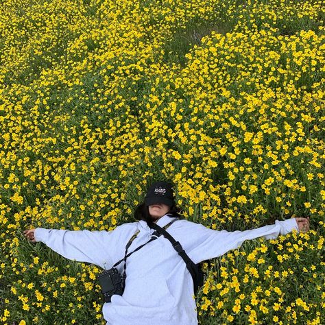 ☼𝚙𝚒𝚗//𝚐𝚊𝚛𝚢𝚓𝚘𝚑𝚗𝚋𝚊𝚜𝚜𝚘𝚗☼ Field Of Flowers, Tromso, Instagram Inspo, Mellow Yellow, Strike A Pose, Photography Inspo, Instagram Foto, Instagram Inspiration, Aesthetic Photography