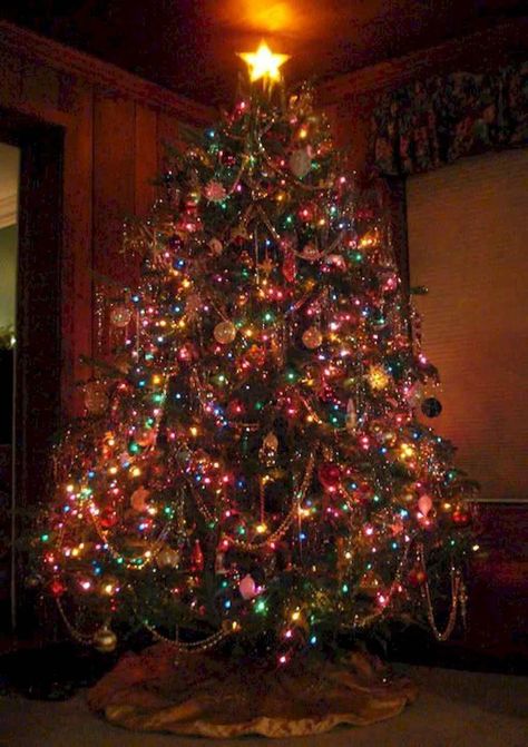 Colored Light Christmas Tree Ideas, Christmas Tree Colored Lights, Christmas Tree With Coloured Lights, Christmas Tree Wallpaper, Pink And Black Christmas Tree, Hall Kitchen, Pink And Black Christmas, Colored Lights, Tacky Christmas