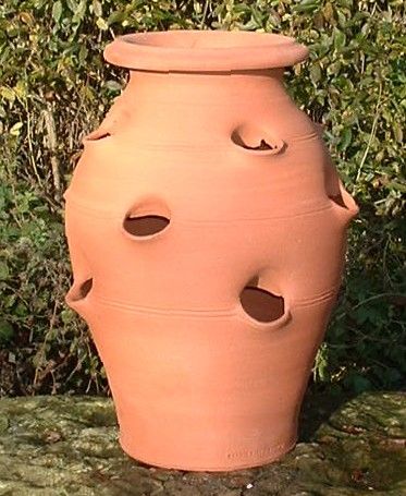 Terracotta strawberry pots are great for growing trailing plants and herbs Strawberry Pot, Strawberry Pots, Strawberry Planters, Strawberry Garden, Growing Strawberries, Herb Planters, Strawberry Plants, Herb Gardening, Beautiful Fruits