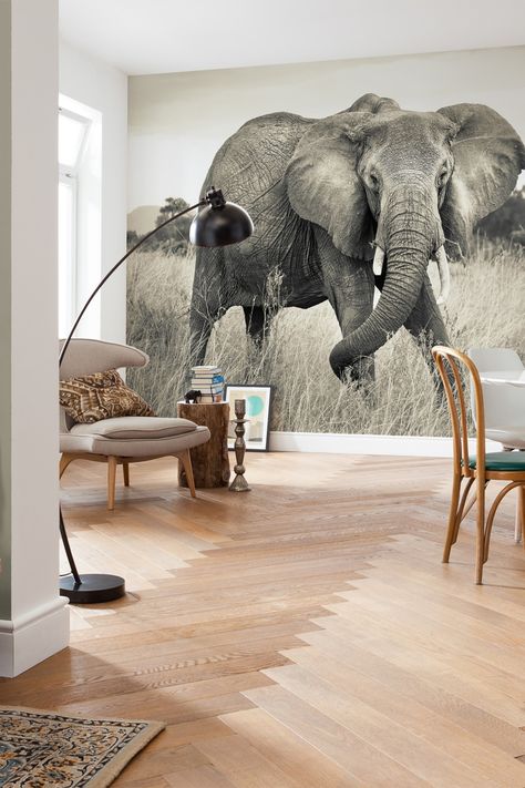 Elephant Mural by Brewster Home Fashions on @HauteLook Elephant Decor Bedroom, Elephant Bedroom, Elephant Wall Decor, Elephant Wallpaper, Elephant Home Decor, Elephant Room, Real Estat, Elephant Decor, Elephant Love