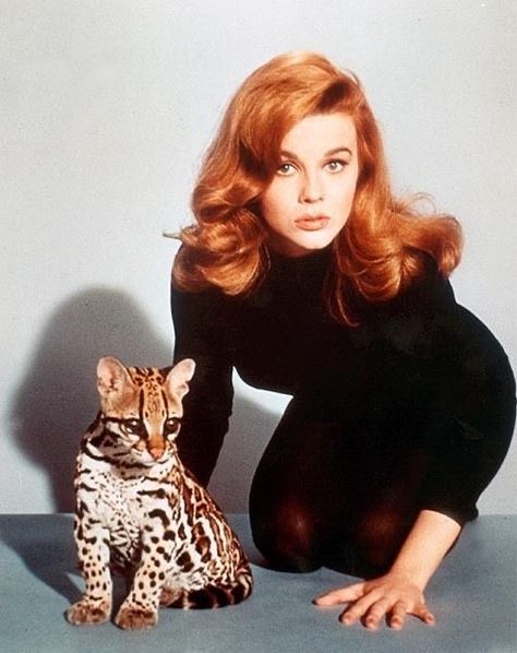 National Redhead Day, Redhead Day, Deborah Kerr, Make Up Inspiration, Ann Margret, Beauty Icons, 60s Fashion, Classic Beauty, Famous Artists