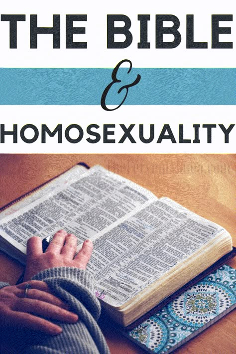 Christ, The Bible, and Homosexuality - The Fervent Mama: After modest mom goes viral for canceling my Disney vacation? Well, my views haven't changed. Find out why in Christ, the Bible, and homosexuality. Modest Mom, Bible Topics, Bible Things, Bird Quotes, Bible Study Topics, Bible Truths, Bible Study Lessons, Bible Love, Study Scripture