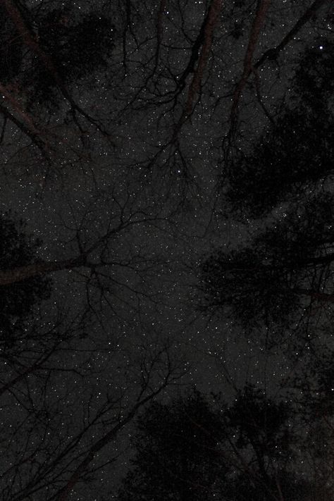 Photo Ciel, Tree Black And White, All Black Everything, Foto Art, The Night Sky, Pics Art, Black Magic, Shades Of Black, Black Aesthetic