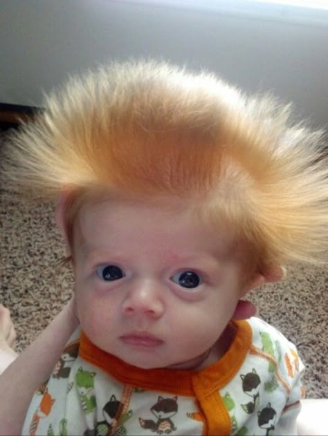 Chia Pet, Funny Baby Pictures, Baby Faces, Foto Baby, Baby Gif, Bad Hair Day, Bad Hair