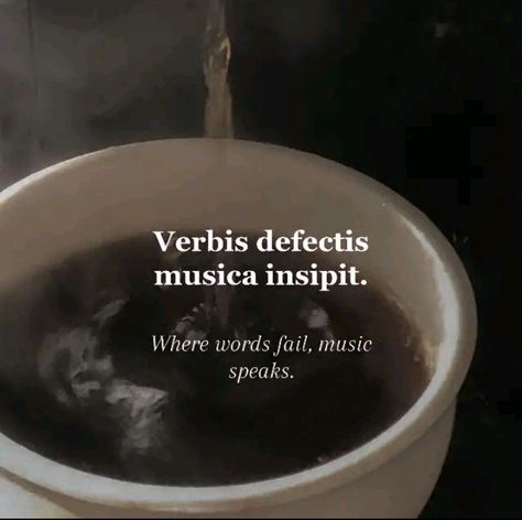 Dark academia - esque latin quote for my classical music babes Credit - @xxdreamsiexx on tiktok Latin Phrases Aesthetic, Meaningful Tattoo Quotes, Latin Quotes, Cutie Quote, Foreign Words, Latin Phrases, Language Quotes, Rare Words, Literature Quotes