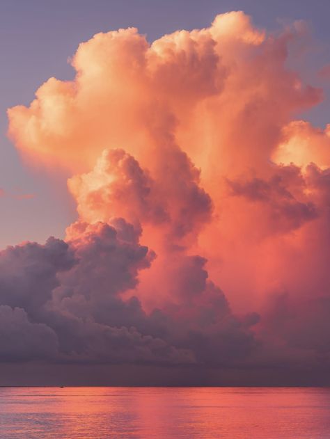 Sunset cumulus clouds over Palm Beach, Florida. Photo: Philip Metlin. Cumulus Clouds Drawing, Sky Reference Photos, Sunrise Clouds Painting, Cloud Reference Photo, Sky And Clouds Aesthetic, Type Of Clouds, Clouds Reference, Sunset Clouds Painting, Sunrise With Clouds