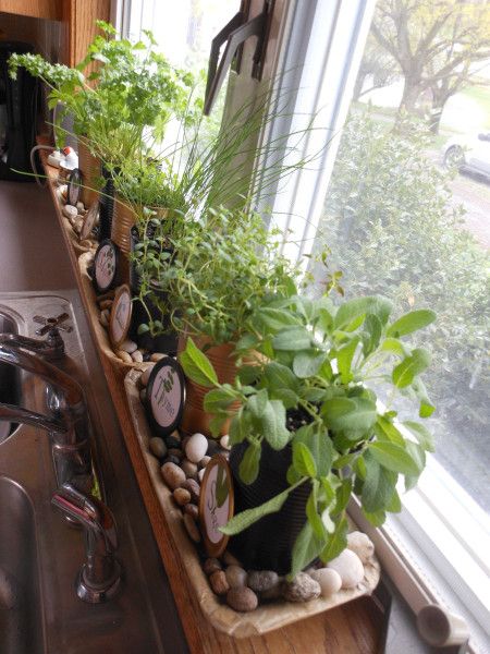 Window Sill Planter Ideas, Window Seal Herb Garden, Kitchen Herb Garden Indoor, Window Herbs, Kitchen Window Herb Garden, Herb Garden Window, Window Sill Herb Garden, Greenery Kitchen, Herb Window