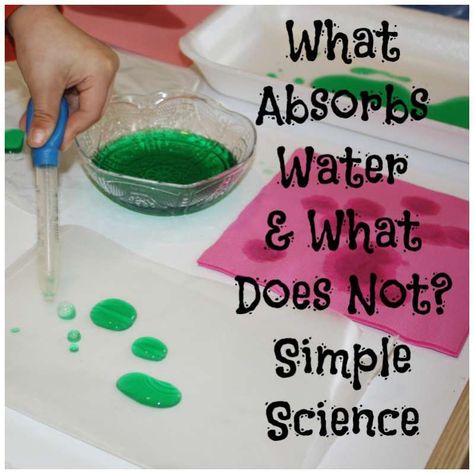 Learning what absorbs water and what does not with simple materials from around the house! We had a blast exploring and hypothesizing what would and would not hold water! View this kids activity at little bins for little hands! Water Experiments For Kids, Prek Science, Water Science Experiments, Water Study, Water Unit, Science Week, Preschool Science Activities, Science Experiments For Preschoolers, Simple Science