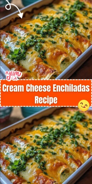 Cream Cheese Enchiladas are a creamy and flavorful twist on traditional enchiladas. Filled with a rich mixture of cream cheese, shredded chicken, and Mexican cheese, and topped with a smooth and savory sauce, these enchiladas are perfect for a comforting and satisfying meal. They’re great for family dinners, gatherings, or whenever you’re in the mood for a delicious Mexican-inspired dish. Can Chicken Enchiladas, Cream Cheese Enchiladas Chicken Easy, Sour Cream Cheese Enchiladas, Cream Cheese Enchiladas Chicken, Chicken Enchiladas With Cream Cheese, Cheese Enchiladas With Red Sauce, Traditional Enchiladas, Cheese Enchiladas Recipe, Enchiladas Recipes