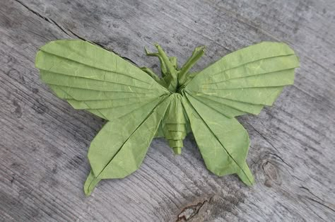 Artur Biernacki designed a very elaborate butterfly. #origami Bug Origami, Nature Origami, Origami Moth, Origami Bugs, Puriri Moth, Origami Game, Ramadan 2025, Origami Insects, Origami Japan