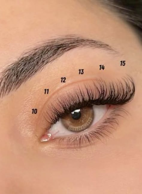 Cute Lash Maps Clusters, Small Lash Clusters, 30d 40d Lash Map Clusters, Lash Mapping D Curl, Natural Lash Clusters Map, Lash Mapping Eyelash Clusters, Wispy Lash Cluster Map, D Curl Lash Map Clusters, Lash Cluster Mapping Styles Doll Eye