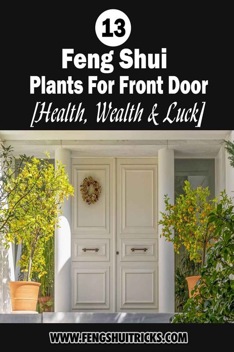 Did you know that there are plants that you can place at the front door for health, wealth, and luck? Adding plants to your front door is one of the aesthetic ways of naturally increasing the chances of positive energy coming in. In this post, we provide feng shui plants for front door that will bring health, wealth and luck. Plants Either Side Of Front Door, House Entrance Plants Entryway, Plants At Front Door, Door Plants Entrance, Front Door Feng Shui Entrance, Plants Outside Front Door, Feng Shui Plants Front Doors, Plants For Front Door Entrance, Plants By Front Door