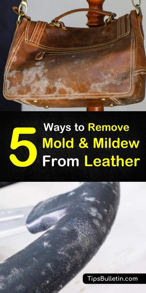 Find out how to remove mold from leather goods using proven stain removers like rubbing alcohol, baking soda, and vinegar! These cleaning tips will have your leather items looking good as new! #cleaningtips #leathercleaner #stainremovers Remove Mold, Cleaning Painted Walls, Glass Cooktop, Deep Cleaning Tips, Bags And Purses, Mold Remover, Clean Dishwasher, Simple Life Hacks, Toilet Cleaning