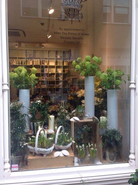 Moyses Stevens, Flower Shop Decor, Flower Shop Design, Spring Window, Flower Window, Flower Shops, Flower Store, Florist Shop, Flower Studio