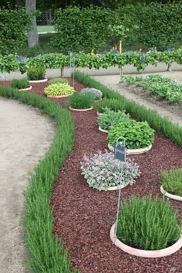 30 Herb Garden Ideas To Spice Up Your Life - Garden Lovers Club Inexpensive Landscaping, Different Types Of Plants, Outdoor Herb Garden, Courtyard Landscaping, Spice Garden, Herb Garden Design, Plants Growing, Easy Landscaping, Backyard Garden Design