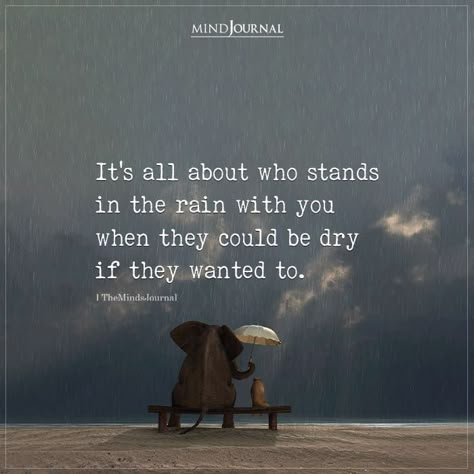 Its All About Who Stands In The Rain With You, Rain And Music Quotes, Know Where You Stand Quotes, Rain And Heartbreak, Know Your Place Quotes, When It Rains It Pours Quotes, Quotes About The Rain, Embarrassment Quotes, Nobody Cares About You Quotes