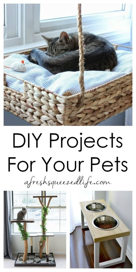 Add a fun touch to your home decor with a DIY project for your dog or cat. These tutorials are easy and they are a great way to love your pet! Pet Diy Projects, Katt Diy, Diy Cat Bed, Katt Grejer, Cat Projects, Pet Diy, Diy Cat Tree, Cat House Diy, Diy Cat Toys