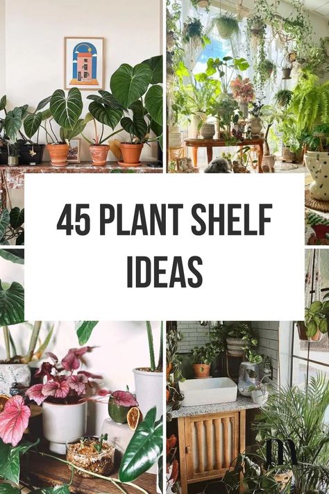 Plant Shelf Ideas: 35+ Creative Ways To Display Plants Wall Shelf For Plants Indoor, Indoor Plants Decor Bedroom Shelves, Houseplants Small Spaces, Plants Sliding Glass Door, Plant Shelving Wall, Indoor Plant Shelves Living Room, Indoor Plants Decor Shelves, Indoor Plant Shelves Window, Succulents Indoor Display Ideas