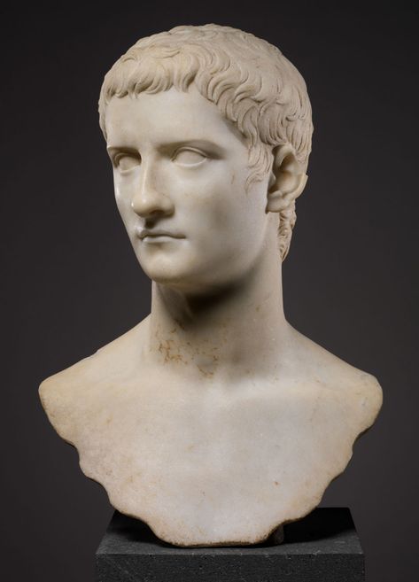 Caligula, marble bust. The Metropolitan Museum of Art, New York | Britannica.com Caligula Roman Emperor, Marble Bust, Rome Antique, Roman Sculpture, Roman History, Roman Emperor, Greek Art, Male Portrait, Public Domain Images