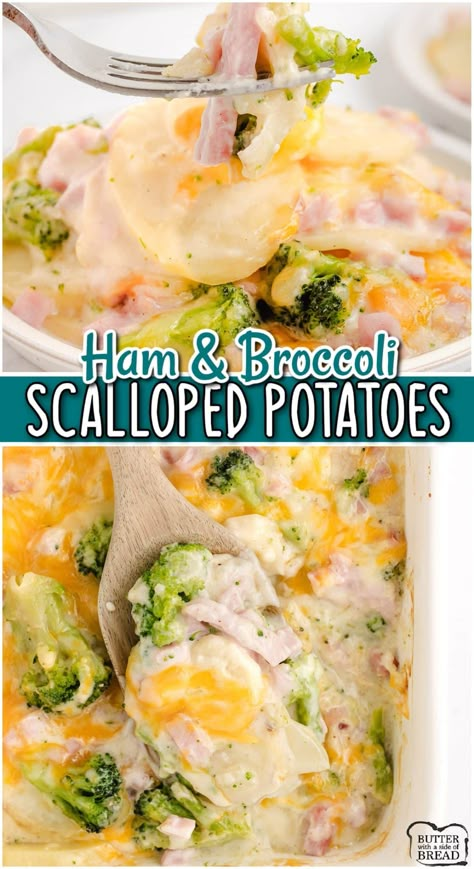 Ham Casseroles, Ham And Potato Recipes, Hot Dish Recipes, Recipes Using Ham, Casseroles For Dinner, Scalloped Potato Casserole, Ham And Cheese Casserole, Guest Recipes, Ham Casserole Recipes