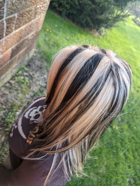 Blonde Hair With Black Streaks Y2k, Skunk Streak Hair Blonde Highlights, Black Stripes In Blonde Hair, Black Hair Skunk Highlights, Skunk Stripe Hair Y2k, Blonde Hair With Chunky Black Highlights, Skunk Hair More Blonde, Skunk Hair Chunky, Chunky Blonde And Black Highlights