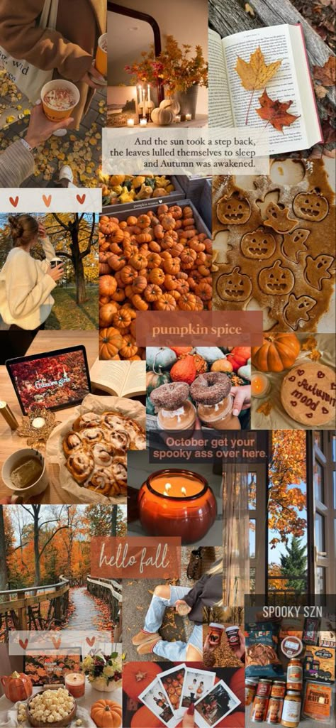 Fall Dream Board, Thanksgiving Mood Board, Autumn Background Desktop, Fall Esthetics, Fall Board Ideas, Fall Mood Board Aesthetic, Cozy Fall Aesthetic Wallpaper, Fall Asthetic Photos, Halloween Mood Board