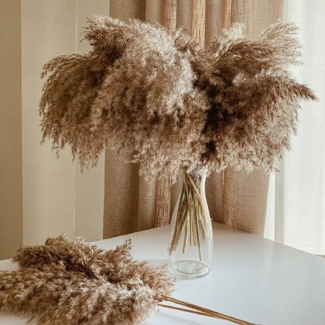 full pampas bouquets Neutral Console Table, Backyard Wedding Party, Brown Pampas, Brunch Board, Console Table Decor, Cozy Mood, Christmas Wedding Decorations, Phone Background Ideas, Grass Bouquet