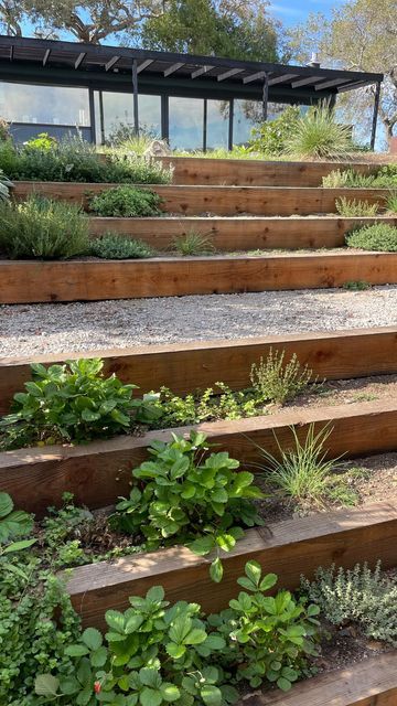 Shallow Garden Steps, Sloped Garden Steps, Stepped Flower Beds, Stair Garden Outdoor, Step Garden Beds, Terraced Steps Walkways, Stepped Garden Beds, Outdoor Garden Steps Ideas, Floating Garden Steps