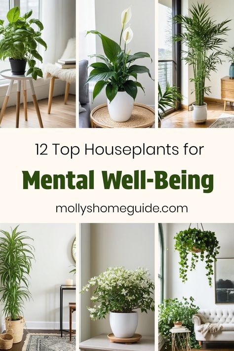 Positive Plants For Home, Indoor Plant Bedroom Ideas, Beautiful Indoor Plants Living Rooms, Indoor Bedroom Plants Decor, Best Home Plants For Your Health, Indoor Plants That Purify The Air, Trailing House Plants Indoor, Plants Good For Bedroom, Indoor Plants Health Benefits