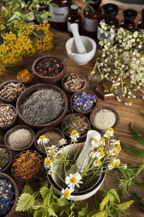 Apothecary Vibes, Herbalism Aesthetic, Herbalist Shop, Medicine Garden, Magia Das Ervas, Puzzle Collection, Herbal Apothecary, Healing Plants, Herbal Healing