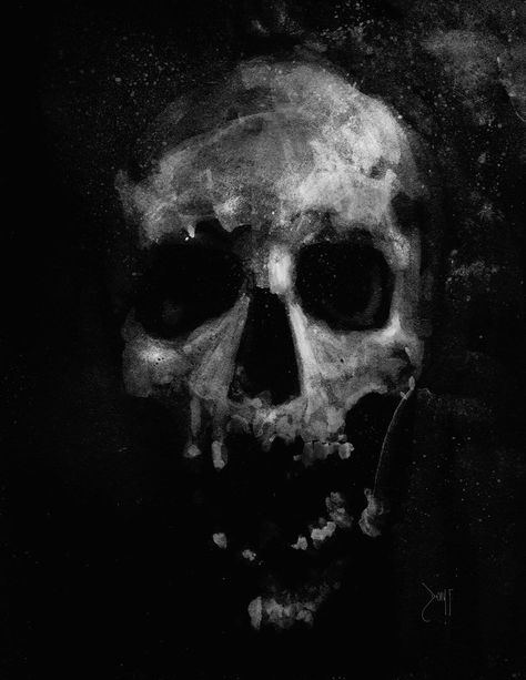 Skull by Devin-Francisco on deviantART Theme Photography, Skull Reference, Magic Theme, Skull Sketch, Skeleton Drawings, Vinyl Photography, Carpet Modern, Black Paper Drawing, Photography Studio Background