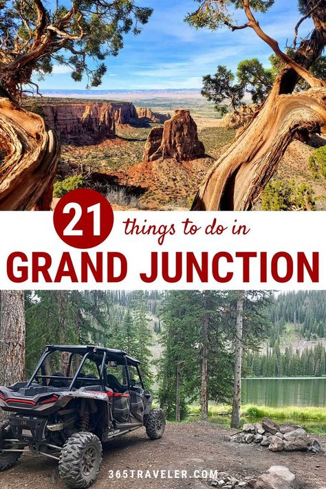 Montrose Colorado Things To Do, Grand Junction Co, Unique Things To Do In Colorado, Things To Do In Grand Junction Colorado, Grand Mesa Colorado, Grand Junction Colorado Things To Do, Colorado Springs Things To Do, Colorado Family Vacation, Palisade Colorado