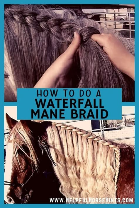 Learn how to do a waterfall horse mane braid on your horse. Includes video instructions. Waterfall Braid Horse Mane, How To Braid A Horse Mane, Braided Mane Horse, How To Braid A Horse Tail, Tail Braids Horse, How To Braid Horses Manes, Braiding Horse Manes, Horse Braiding Mane, Horse Hairstyles Short Mane