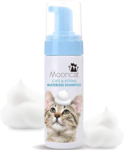 Cat Types, Cat Shampoo, Food Cat, Cat Cleaning, Cat Bath, Cat Essentials, Types Of Cats, Cute Little Kittens, Pet Shampoo