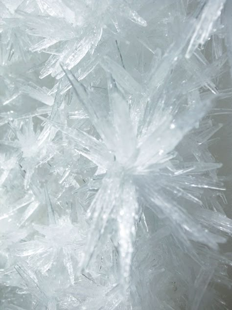 Tokujin Yoshioka, Swan Lake 2013 (Crystallized painting - detail).photo © MOT / Museum of Contemporary Art Tokyo. Tokujin Yoshioka, Winter Court, Toshiro Hitsugaya, Killer Frost, Yennefer Of Vengerberg, Wally West, Art Appliqué, Emma Frost, Ice Crystals