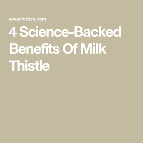 4 Science-Backed Benefits Of Milk Thistle Thistle Benefits, Benefits Of Milk Thistle, Milk Thistle Benefits, Benefits Of Milk, Registered Dietitian Nutritionist, Blood Sugar Management, Milk Thistle, Liver Health, Bone Health