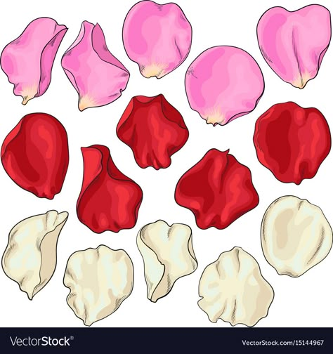 Rose Petals Drawing, Petals Drawing, Drawing Of Rose, Red Rose Drawing, Rose Drawing Simple, Rose Line Art, Rose Reference, Realistic Rose, Rose Illustration