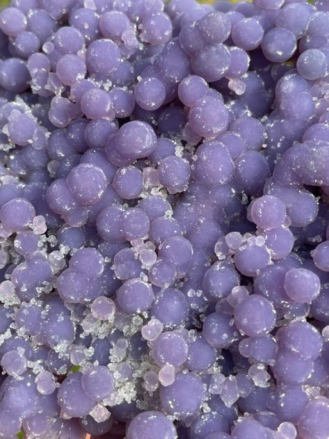 Chalcedony (also known as Grape Agate and druzy Quartz) from Sulawesi, Indonesia. In honor of Pantone’s color of the year for 2022, Very Peri! Grape Agate, Love Crystals, Fine Minerals, Druzy Quartz, Diet Coke, Agate Jewelry, Color Of The Year, Every Color, Moss Agate