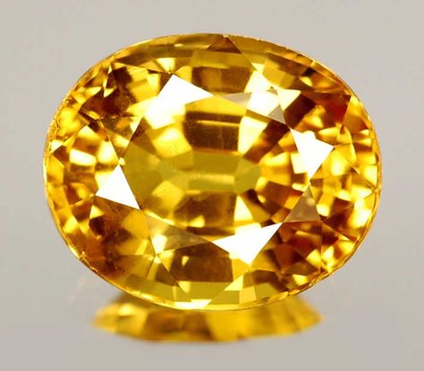 Oval Cut Yellow Sapphire Fancy Sapphire, Fashion Angels, Yellow Gemstones, Ruby Pendant, Minerals And Gemstones, Price Range, Real Stone, Sapphire Stone, Mellow Yellow