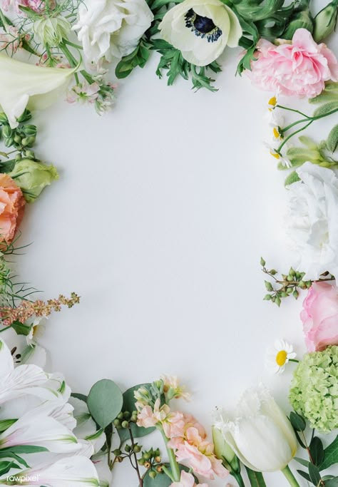 Fresh flowers frame on a white background | premium image by rawpixel.com / marinemynt #picture #photography #inspiration #photo #art #frame #flower #floral Wedding Flower Background, Flower Flat Lay, White Flower Background, White Flower Wallpaper, Flower Picture Frames, Apple Flowers, Flowers Frame, Flower Flat, Flower Picture