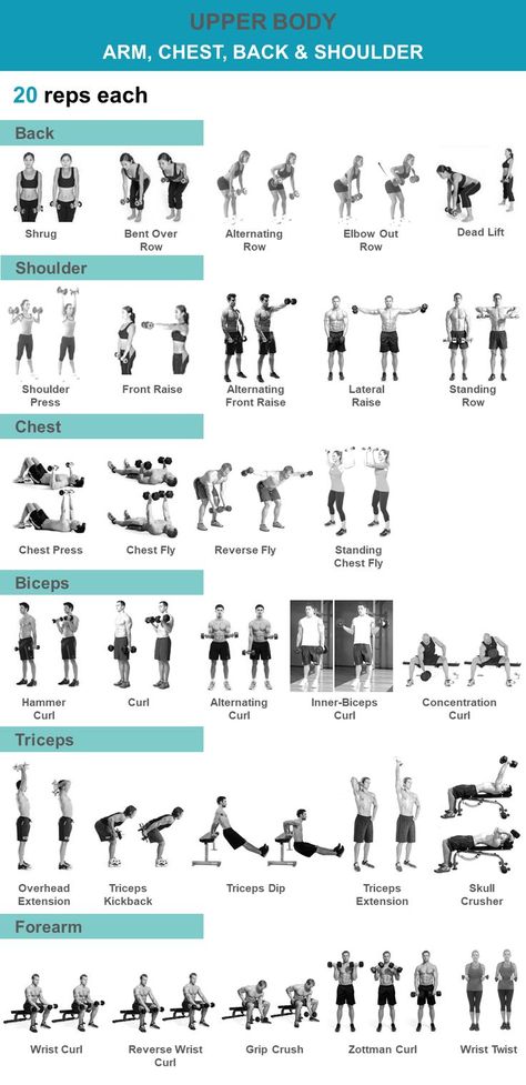 Upper Body Weight Workout, Beginner Upper Body Workout, Upper Body Workout Gym, Shoulder Workouts, Survival Videos, Workout Gym Routine, Gym Workout Plan For Women, Dumbell Workout, Gym Workout Chart