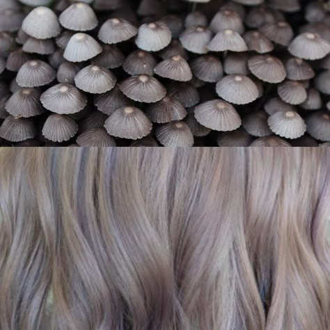 Hair Color Mushroom Brown, Ashy Brown Highlights, Mushroom Highlights, Mushroom Hair Color, Mushroom Brown Hair Color, Mushroom Brown Hair, Ashy Brown, Brown Hair Trends, Outfits For Teachers