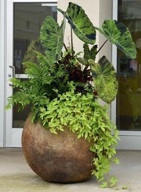 Stencils Painting, Container Garden Design, Potted Plants Outdoor, Container Gardening Flowers, Flower Pots Outdoor, Plants Outdoor, Concrete Porch, Garden Decor Ideas, Garden Containers