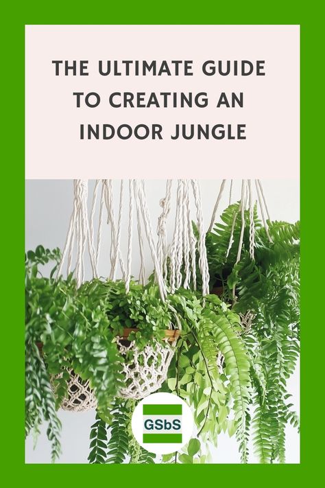 Hanging plants with lush green leaves in macrame holders, surrounded by text: "The Ultimate Guide to Creating an Indoor Jungle". Indoor Jungle Living Room, Plants Indoor Design, Tropical Plants Indoor, Jungle Aesthetic, Indoor Tropical Plants, Heart Leaf Philodendron, Tropical House Plants, Jungle Decor, Tropical Greenery