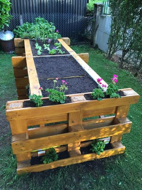 Pallet Projects Garden, Diy Balcony, Apartment Plants, Pallet Planter, Diy Raised Garden, Raised Garden Beds Diy, Smart Garden, Garden Decor Projects, Apartment Diy